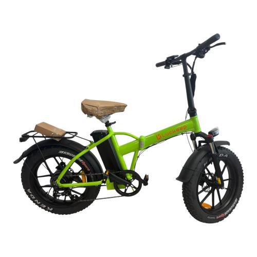 WIZY LUCKEEP FAT BIKE 20X4 250W 36V BATTERIA 10 AH LCD COLORI CAMBIO SHIMANO A 7 VERDE